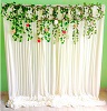 Backdrop Rental