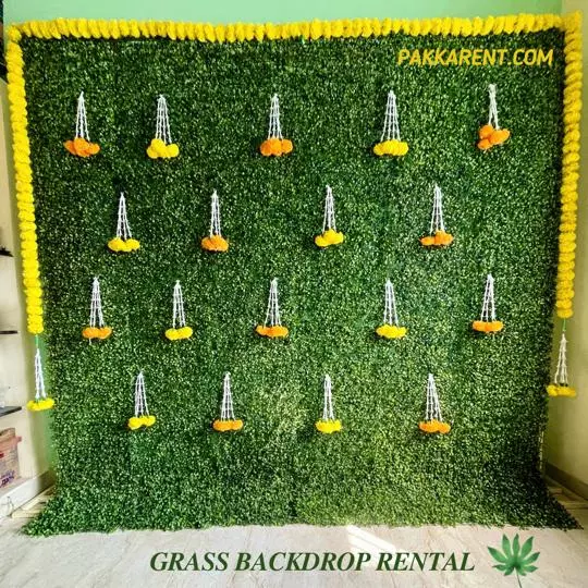 BirthdayGrass Backdrop rental